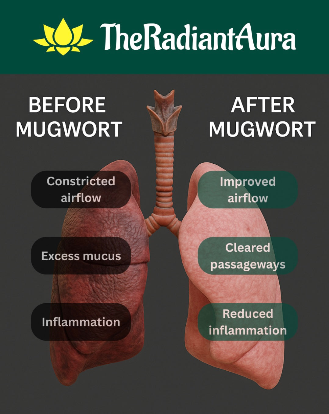 Pre-Ground Mugwort & Damiana Mix
