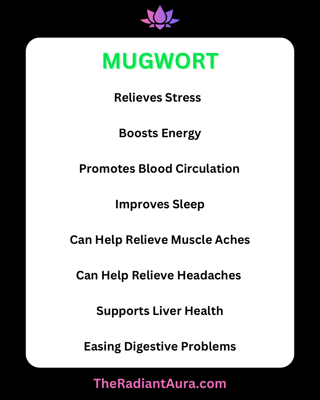 Mugwort & Damiana Mixed Tea Bags