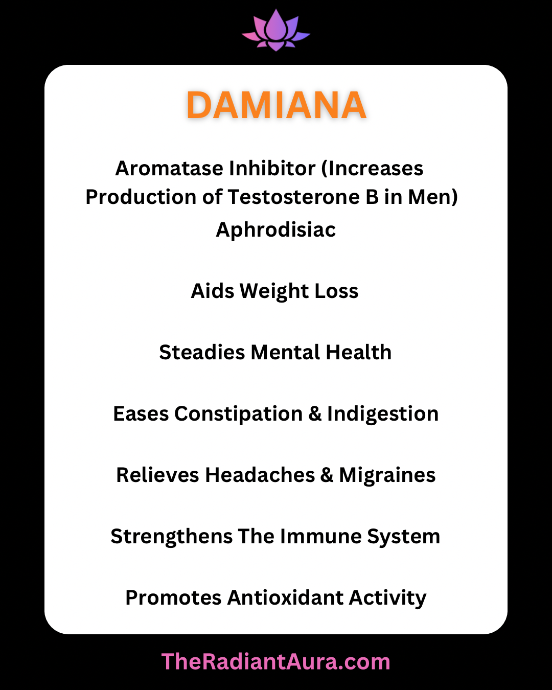 Mugwort & Damiana Mixed Tea Bags