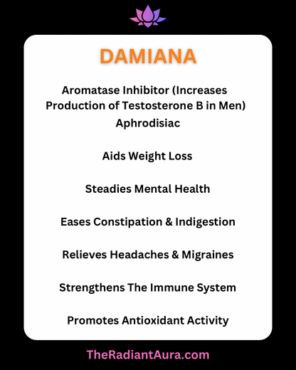 Mugwort & Damiana Mixed Tea Bags