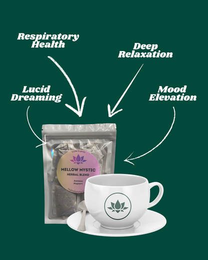 Mugwort & Damiana Mixed Tea Bags