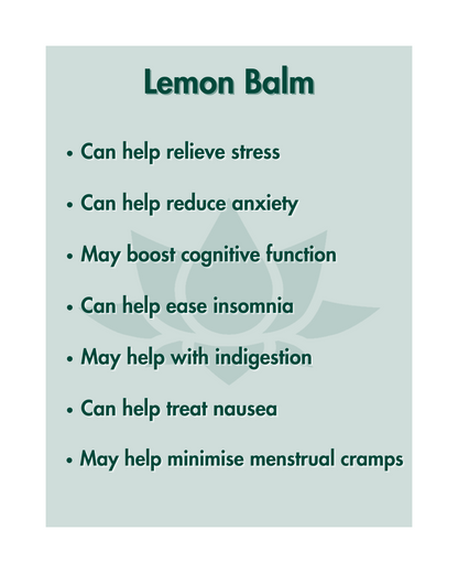 NEW Calm & Relax Herbal Tea Blend [Ashwaganda Root + Holy Basil + Lemon Balm + Rose Petals]