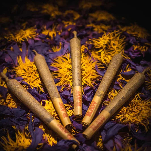 Blue Lotus Flower Pre-Rolls