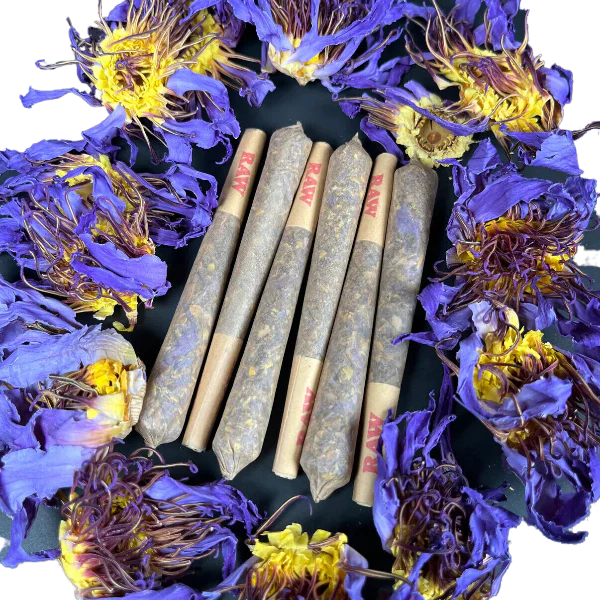 Blue Lotus Flower Pre-Rolls